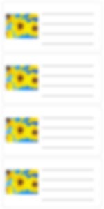 KidsArt, Inc. Color Stickers with Address Lines